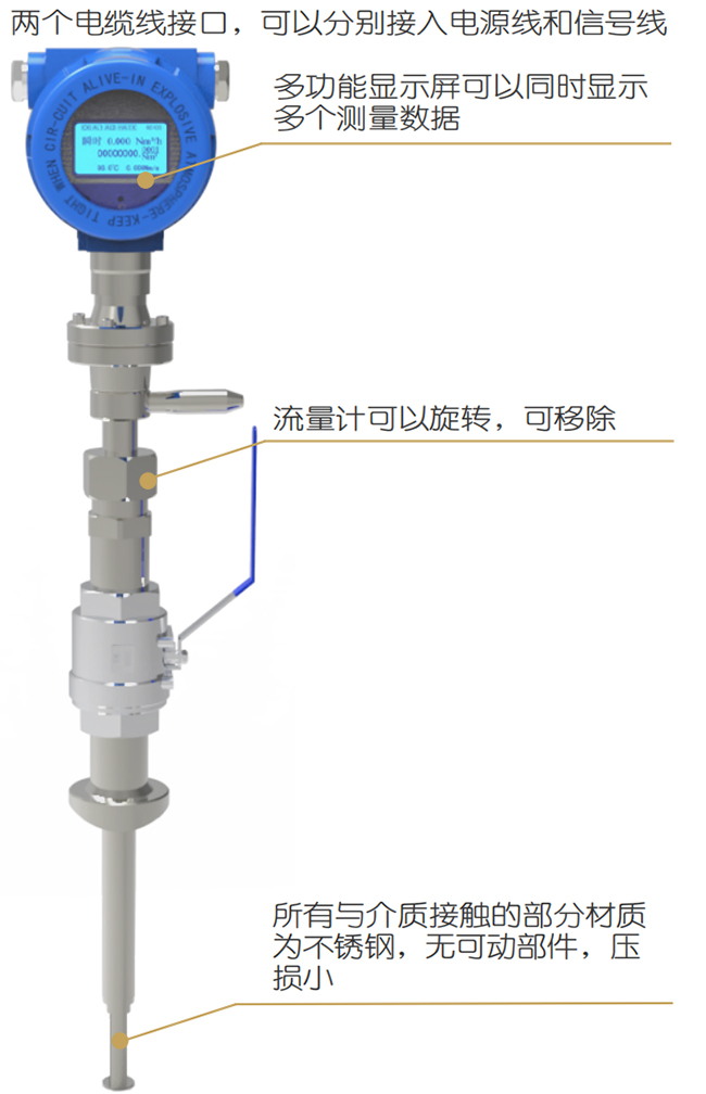 高溫型熱式氣體質(zhì)量流量計(jì)結(jié)構(gòu)圖