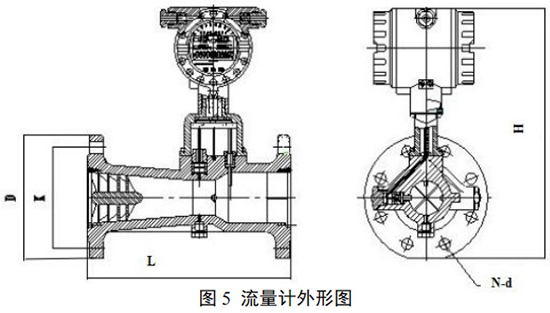 DN32旋進(jìn)旋渦流量計(jì)外形圖